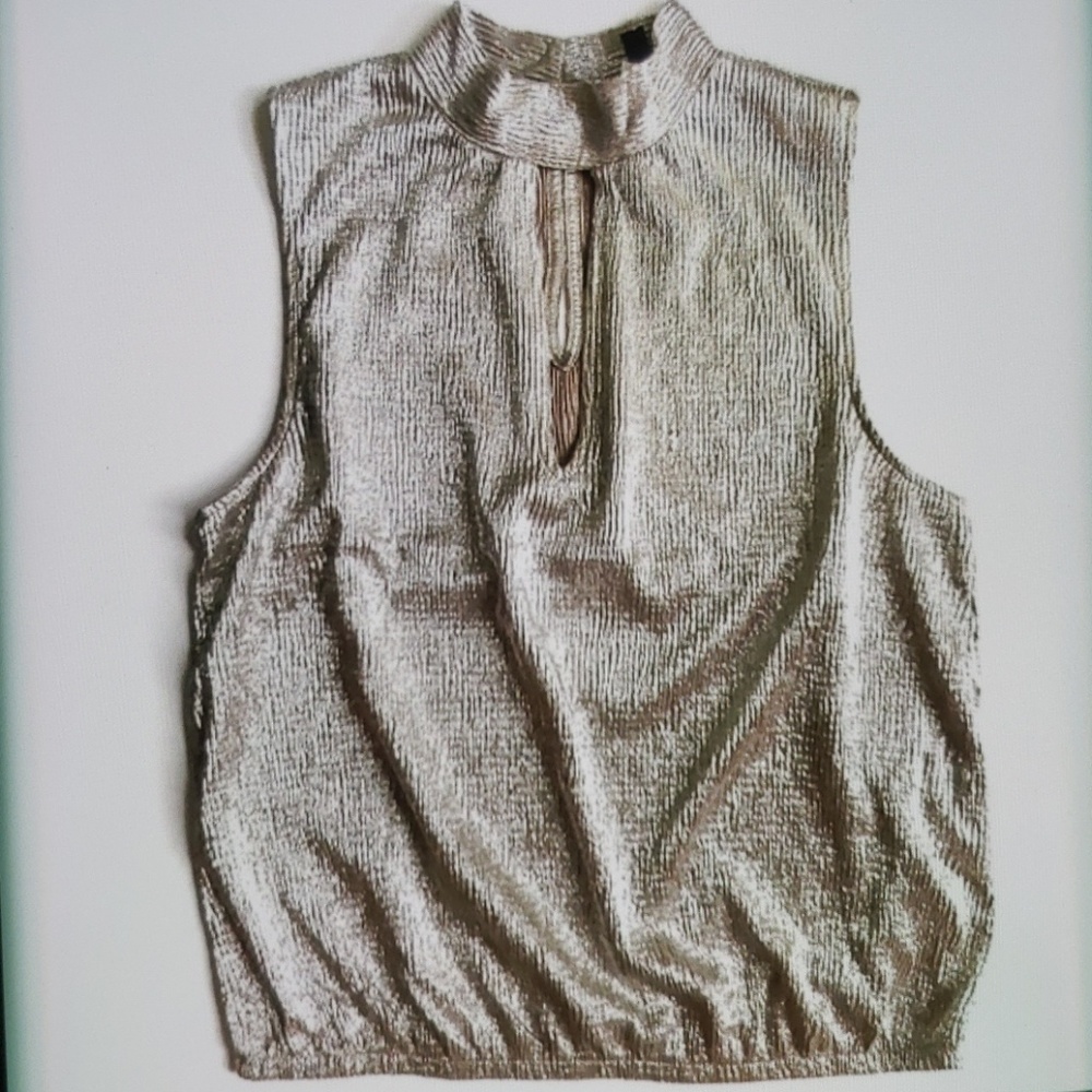 😍EXPRESS METALLIC SLEEVELESS BLOUSE SIZE M😍